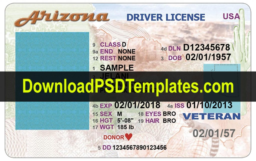 free drivers license psd